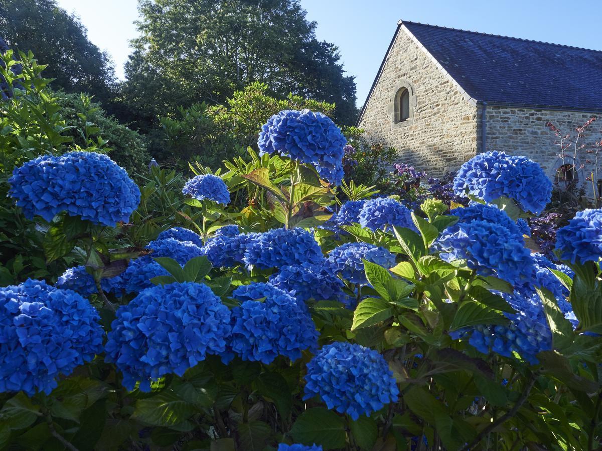 B&B La Grange Du Minuellou Melgven Buitenkant foto