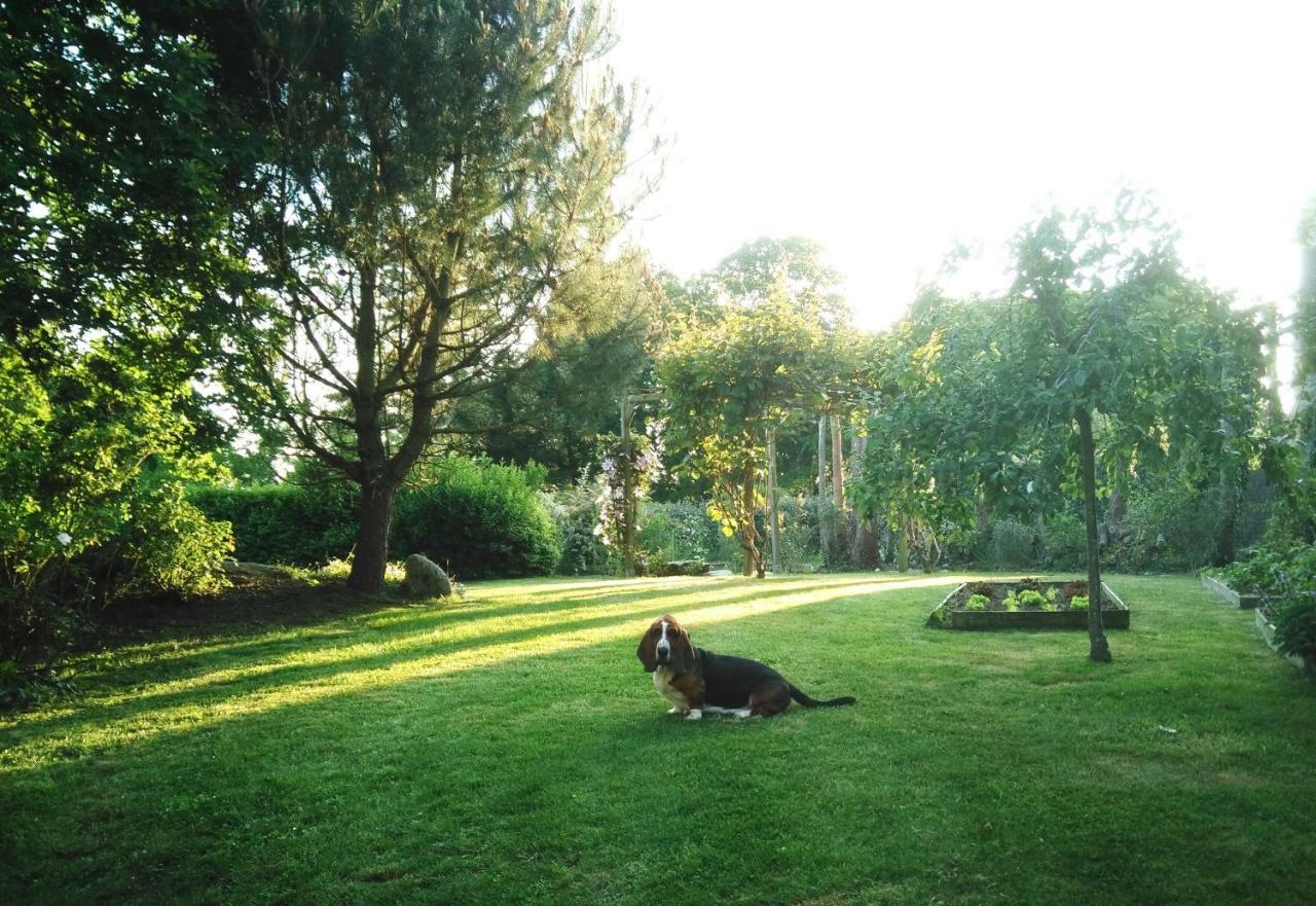 B&B La Grange Du Minuellou Melgven Buitenkant foto